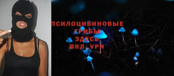 метадон Гусев