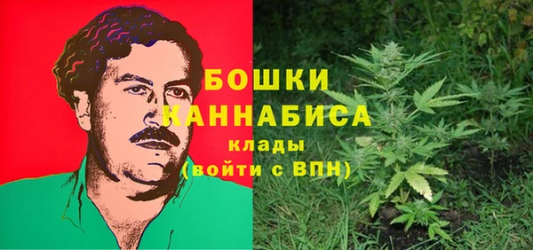 дурь Гусь-Хрустальный
