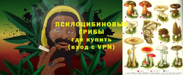 PSILOCYBIN Гусиноозёрск