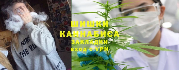 PSILOCYBIN Гусиноозёрск